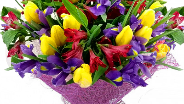 Вітаємо першого проректора університету, професора Пшеничну Любов Василівну!