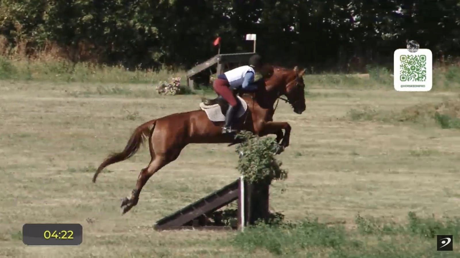 Студентка СумДПУ переможниця Кубку України з кінного спорту
