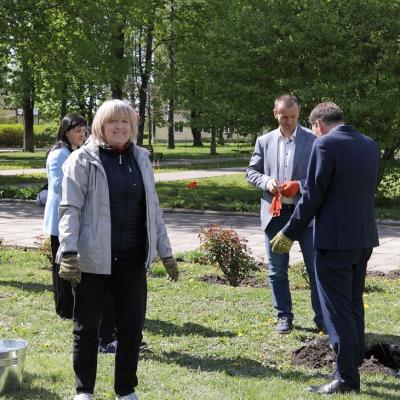 Vk 2681