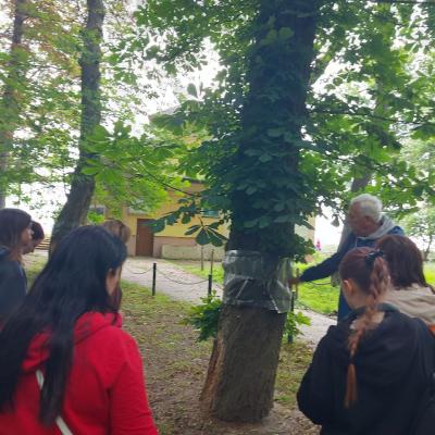 Photo 2025 06 10 17 16 08
