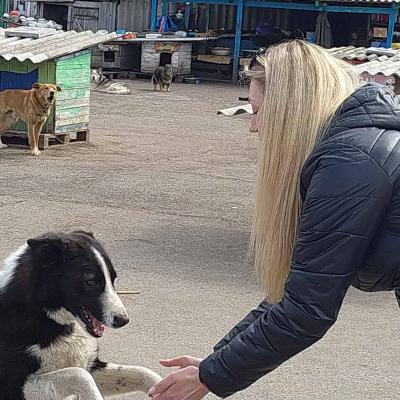 339882648 710751054073707 3045950240388810287 N