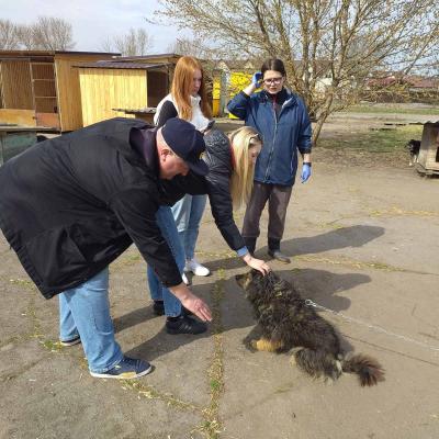 340014090 1547876605705414 7698933860478287176 N