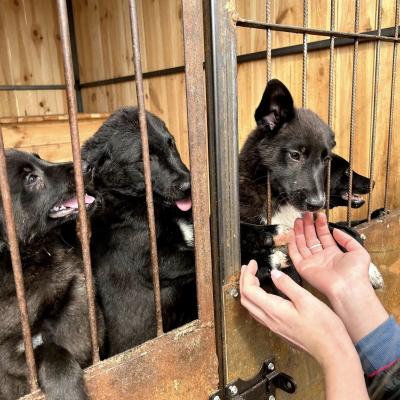 340021040 6486989134668880 4896640316015722513