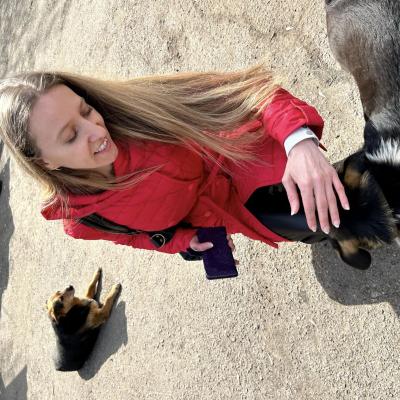 Допомога тваринам (Галерея-Волонтерство)